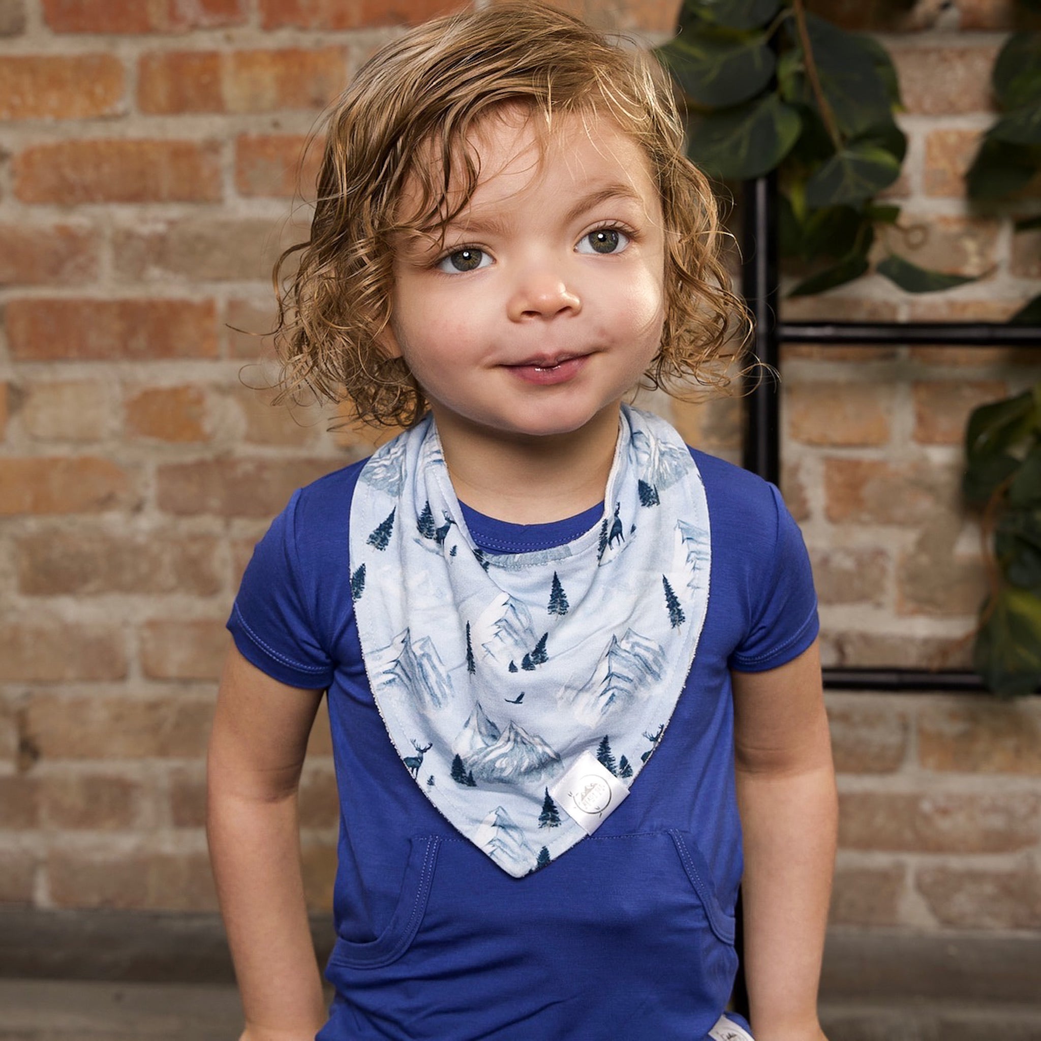 Bib in Winter Mountains – Ready Set Romper