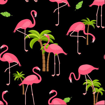 FLAMINGOS