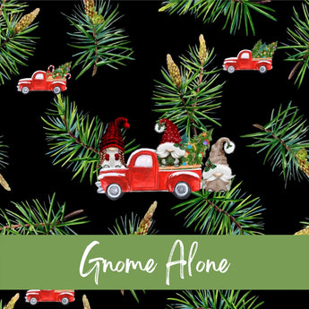 Gnome Alone