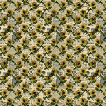 OG Argentina Sunflower