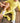Front Opening Ready Set Romper® in RIBBED DAFFODIL