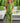 Front Opening Ready Set Romper® ZIP-IT! in Ribbed PARAKEET