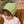 Beanie Ribbed Mantis | Bamboo Viscose