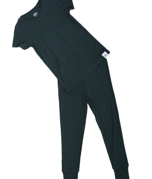 2 pc Loungewear Set in Sage | Bamboo Viscose